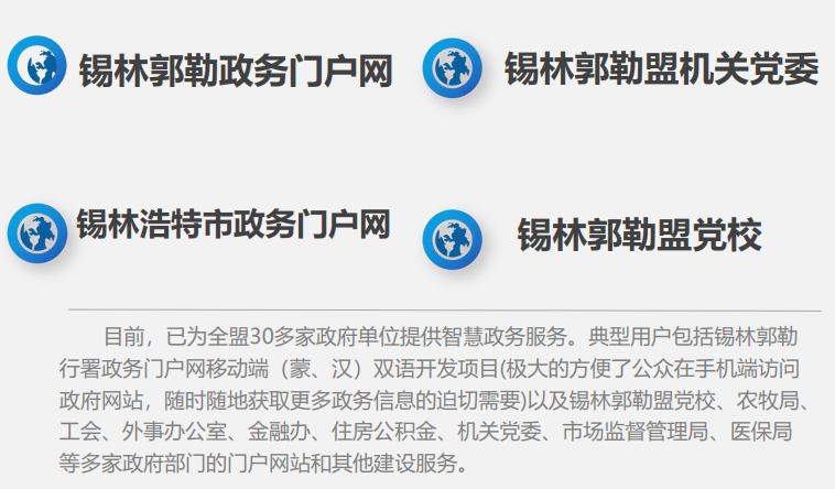 政府单位网站系统开发